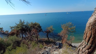 Путешествия