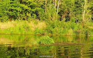 ПРИРОДА ЗИРГАНА