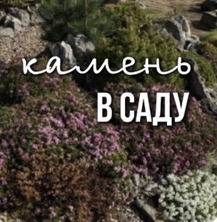 Камень в саду