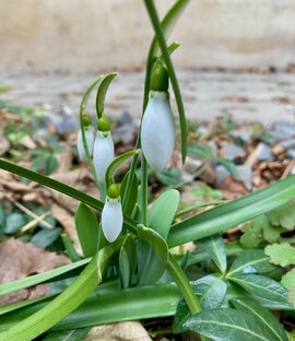 Жизнь в Болгарии. Всякое
