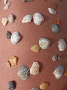 Инвесттции. Новичку на рынке. 