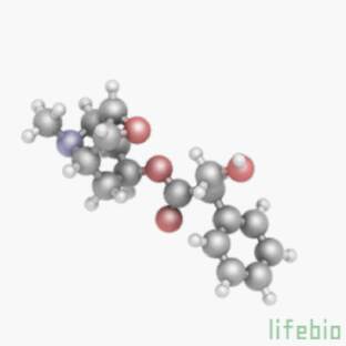 СКОПАЛАМИН -СЫВОРАТКА КАК ПРАВДЫ ЛИ ИЛИ ТУПО ПРЕПАРАТ ДЛЯ ХИМИЧЕСКОГО ГИПНОЗА --