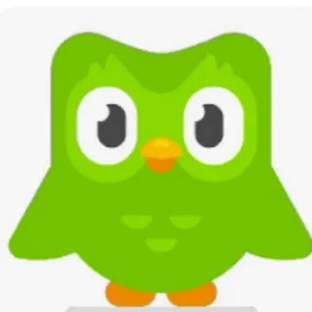 Duolingo 