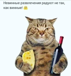 Телефончики 