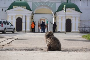 Кострома (Костромская область)