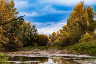 Пейзажи
