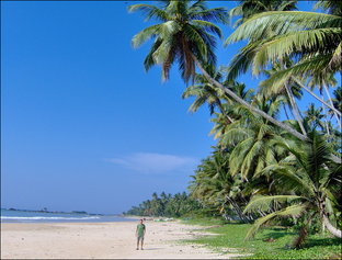 Различные видео