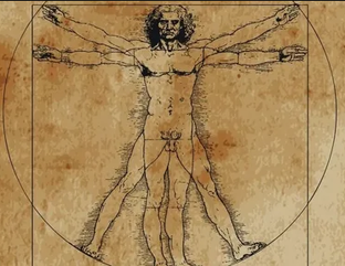 Как устроен Человек