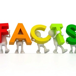 15 фактов обо всем!