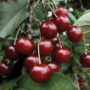 Лето - это маленькая жизнь!