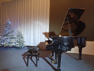 Музыкальные этюды