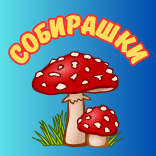 СОБИРАШКИ