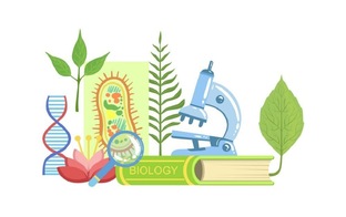 Биология: Путь к Пониманию Живого