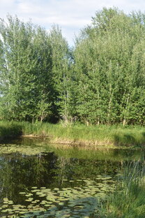 красота природы