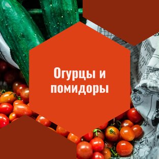 огурцы и помидоры