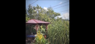 о многом понемногу 