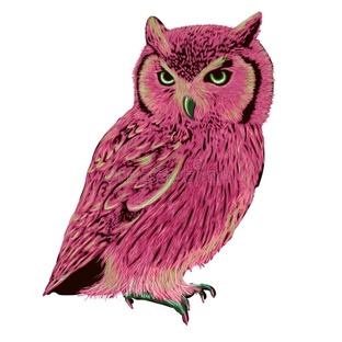 Розовая СОВА 🦉🪡
