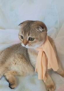 Лучшие видео-моменты