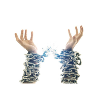 Жизнь без ошейника