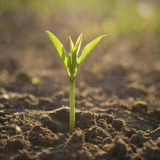 Дыс ис кризис. Как пройти?