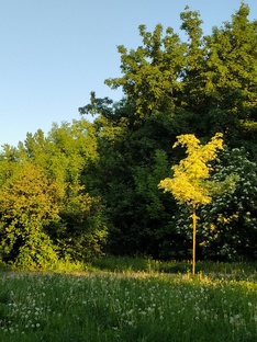 Времена года 