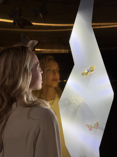 Музейные истории