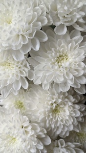 Цветочный бизнес в России