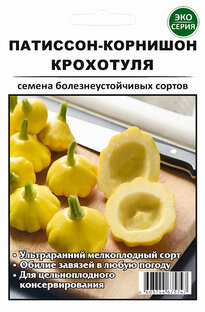 Патиссон