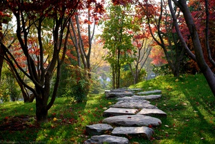 Город Краснодар