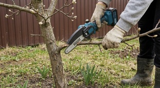 Мои помощники девайсы