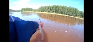 ХАРИУС