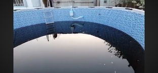 КАРКАСНЫЙ БАССЕЙН