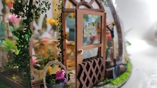 Румбокс "Оранжерея"