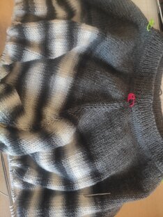 Хобби вне сезона.