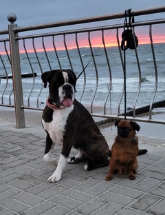 Отдых на море