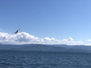 Море и все с ним связанное