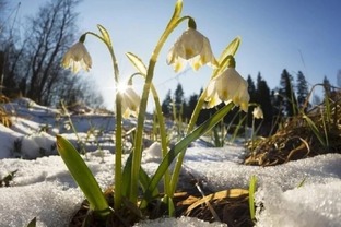 Цветное или цветочное настроение 