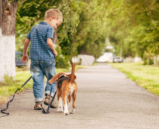 Денискины приключения 