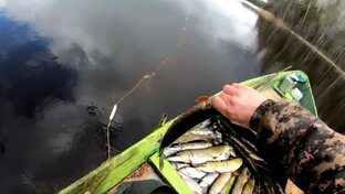 Ловля сетями.