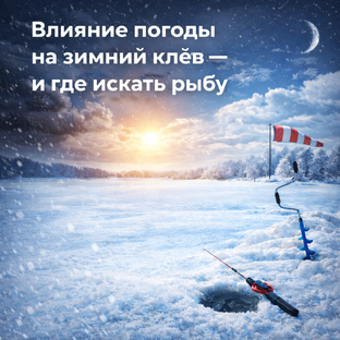 Почему сегодня не клюёт: ветер, давление, луна.