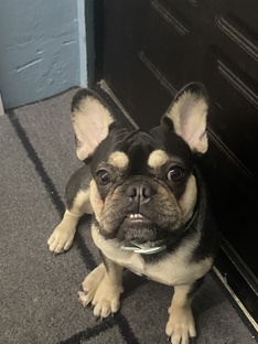 Арты для дзенеров🥰