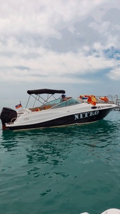 Морские прогулки 