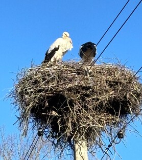 А не вернуться ли снова?