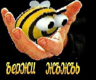 Мемы