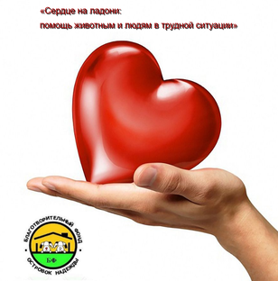 «Сердце на ладони: помощь животным и людям в трудной ситуации» 