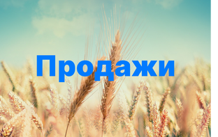 Продажи