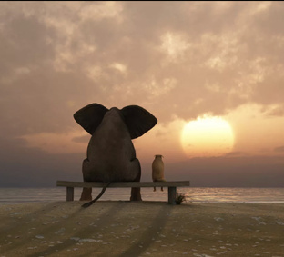 Истории хвостиков.