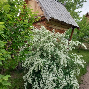 Дизайн