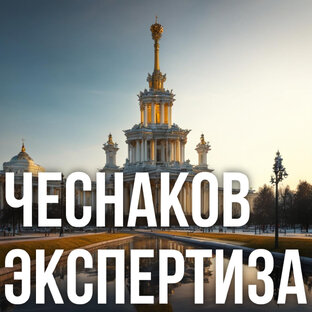 Чеснаков. Экспертиза