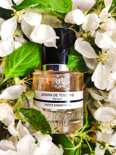 Жасмин и белые цветы 🤍